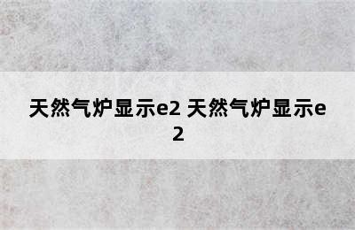 天然气炉显示e2 天然气炉显示e2